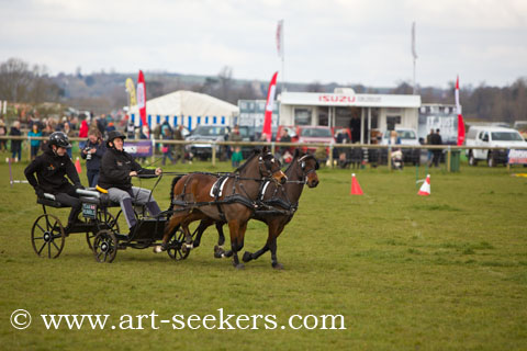 British Scurry Driving Trials Thame Country Show 1384.jpg