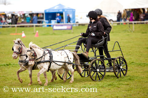 British Scurry Driving Trials Thame Country Show 1397.jpg