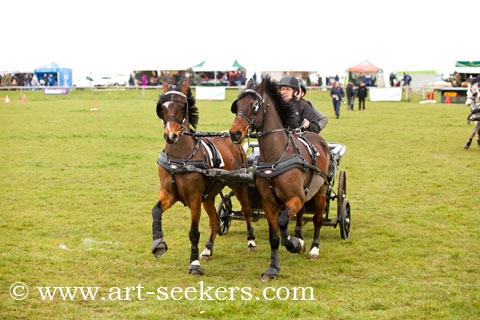 British Scurry Driving Trials Thame Country Show 1398.jpg