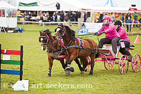 British Scurry Driving Trials Thame Country Show 1609.jpg