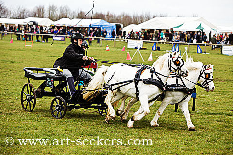British Scurry Driving Trials Thame Country Show 1617.jpg
