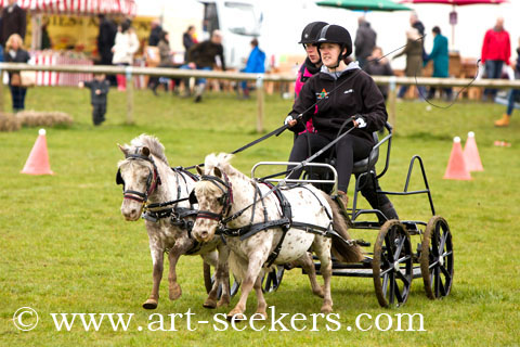 British Scurry Driving Trials Thame Country Show 1621.jpg