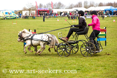 British Scurry Driving Trials Thame Country Show 1623.jpg
