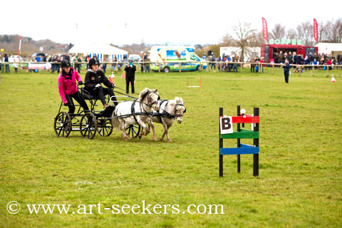 British Scurry Driving Trials Thame Country Show 1624.jpg