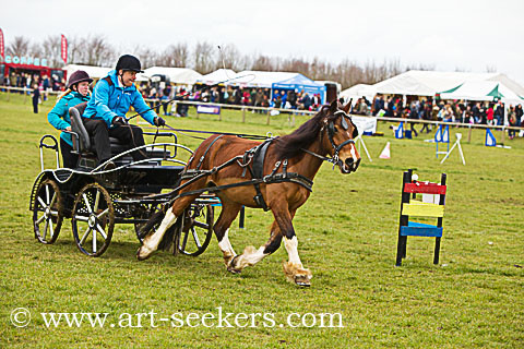 British Scurry Driving Trials Thame Country Show 1630.jpg