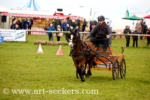 British Scurry Driving Trials Thame Country Show 1640.jpg