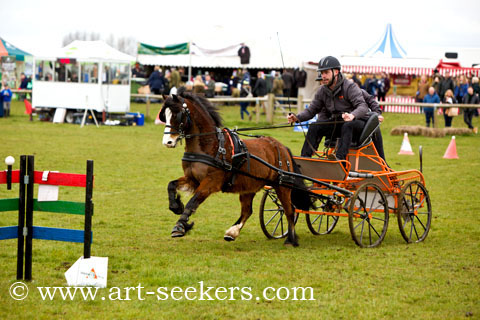British Scurry Driving Trials Thame Country Show 1641.jpg