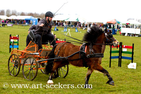 British Scurry Driving Trials Thame Country Show 1647.jpg