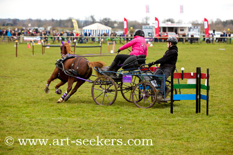 British Scurry Driving Trials Thame Country Show 1658.jpg