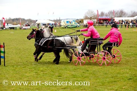 British Scurry Driving Trials Thame Country Show 1666.jpg