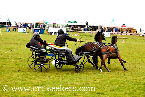 British Scurry Driving Trials Thame Country Show 1681.jpg