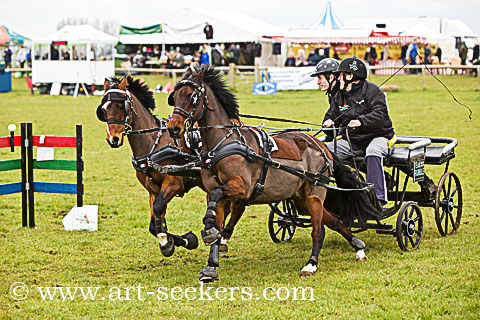 Thame Country Show 2018 - British Scurry Driving Trials