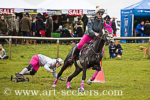 Thame Country Show 2018 - Horse boarding - 2018-Championships